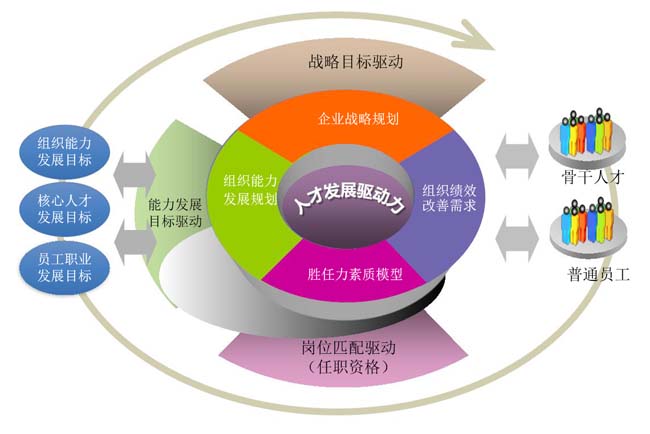 人才发展驱动力模型