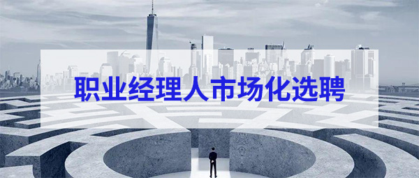 职业经理人市场化选聘