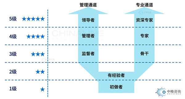 职业发展通道理论