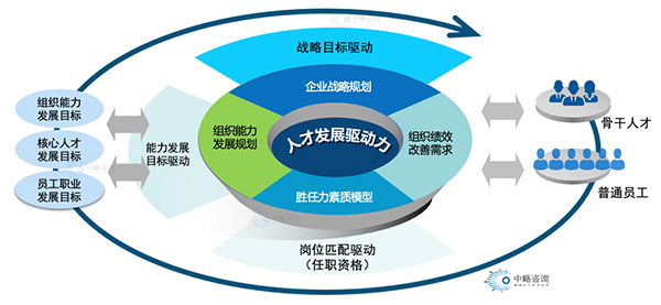 人才发展驱动力模型