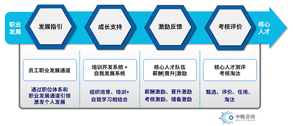 核心人才内生机制模型